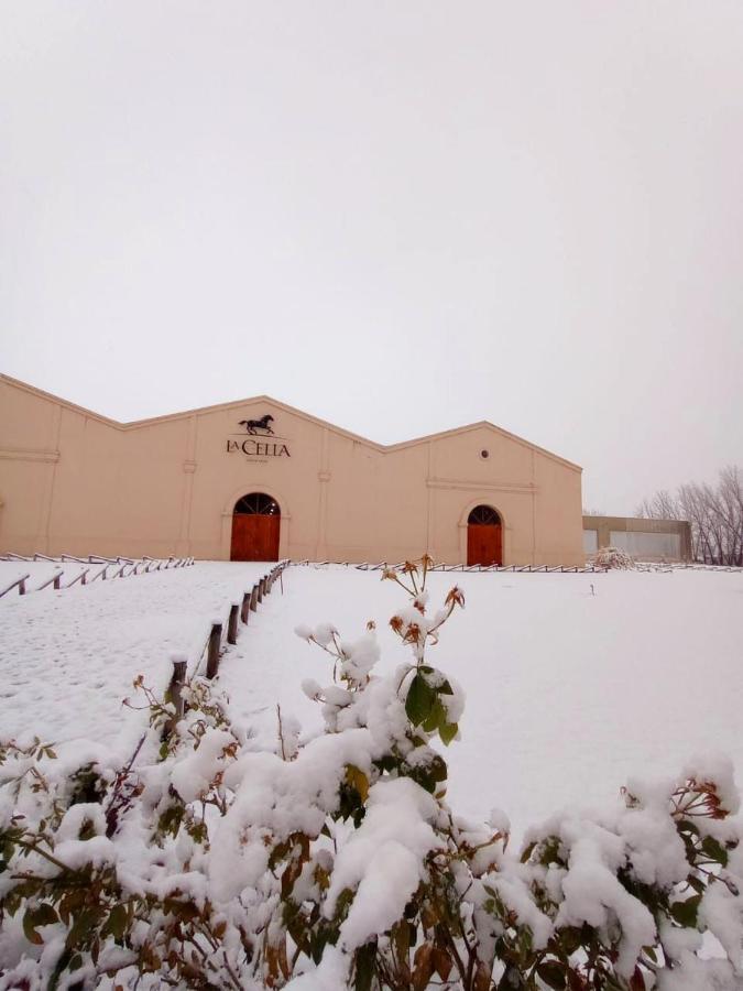 Posada La Celia Eugenio Bustos ภายนอก รูปภาพ